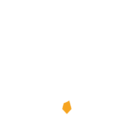 Abortion Services
